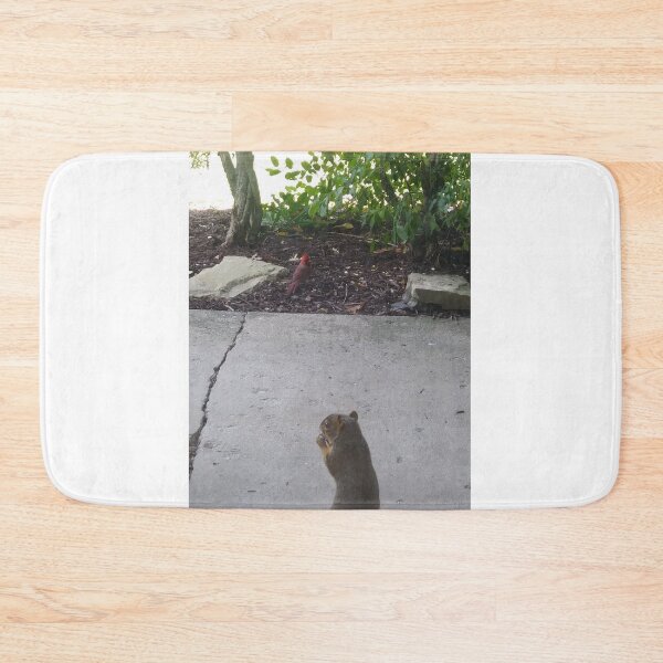 Item preview, Squirrel and Cardinal designed and sold by NathanMoore92.