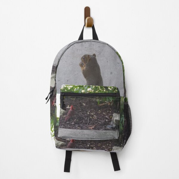Item preview, Squirrel and Cardinal designed and sold by NathanMoore92.