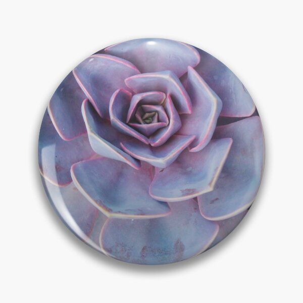 Item preview, Vivid Succulents designed and sold by aprilbernphoto.