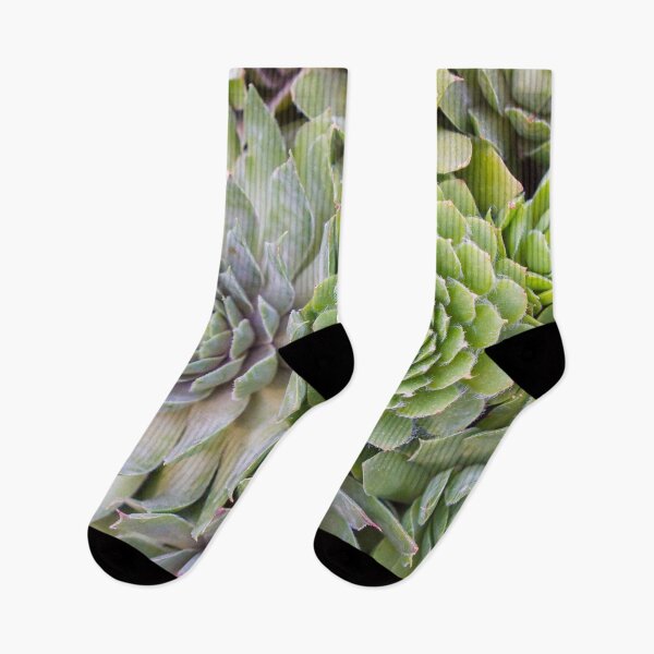 Item preview, Bountiful Succulents designed and sold by aprilbernphoto.