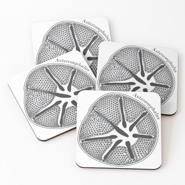 Item preview, Diatom - Asteromphalus (scientific) designed and sold by DiatomsATTACK.