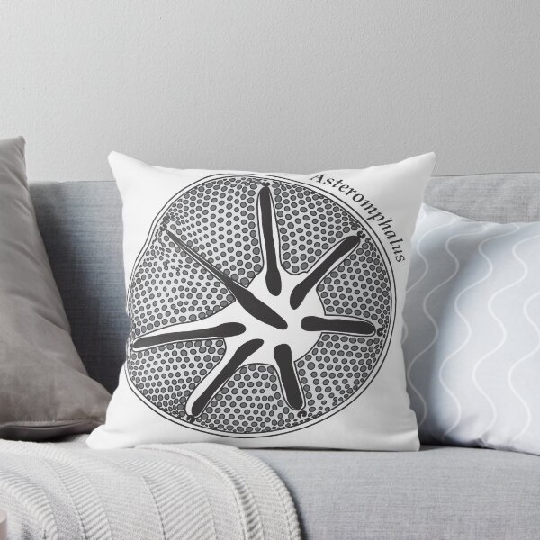 Item preview, Diatom - Asteromphalus (scientific) designed and sold by DiatomsATTACK.