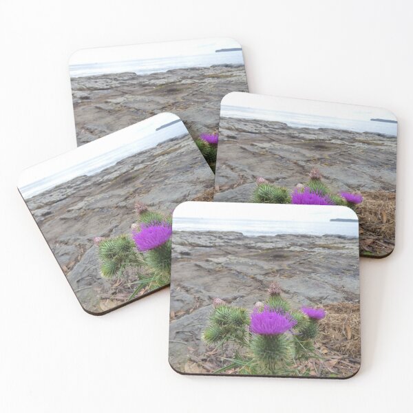 Item preview, View 3 Tessellated Pavements, Ocean & Sky Scene, Tasmania, Eaglehawk Neck designed and sold by EchidnaDreams.
