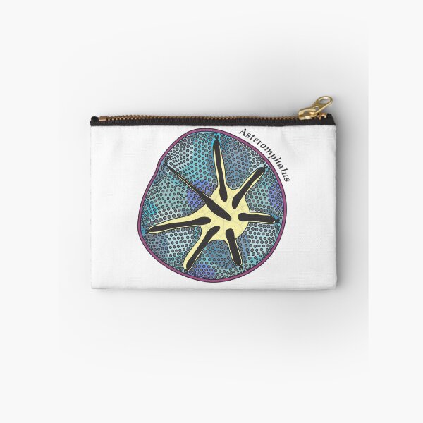 Item preview, Diatom - Asteromphalus (scientific, color) designed and sold by DiatomsATTACK.