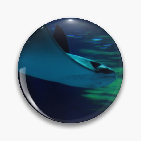Item preview, Ray swimming in an Aquarium designed and sold by HootenannyPhoto.