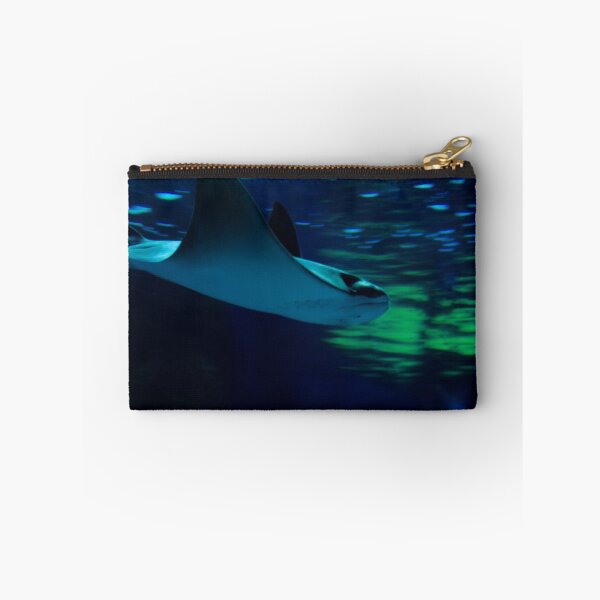 Item preview, Ray swimming in an Aquarium designed and sold by HootenannyPhoto.