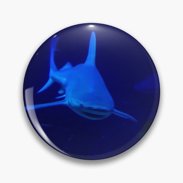 Item preview, Shark Swimming Underwater - Aquarium designed and sold by HootenannyPhoto.