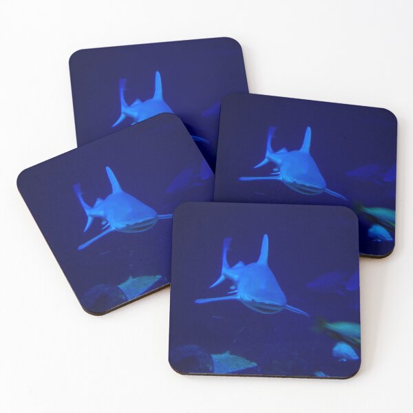 Item preview, Shark Swimming Underwater - Aquarium designed and sold by HootenannyPhoto.
