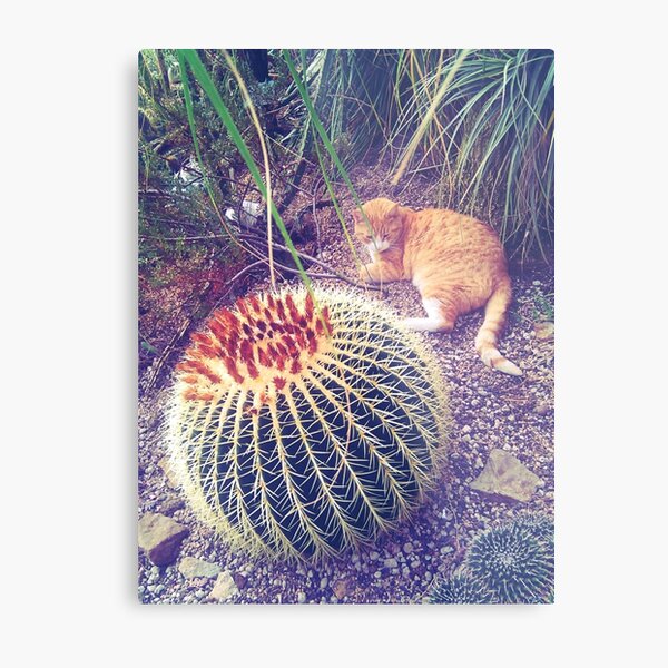 Guardian Of A Botanical Garden Metal Print