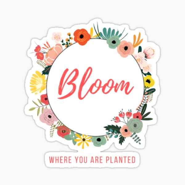 Bloom Where You Are Planted Sticker