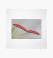 the floating bridge of life Scarf