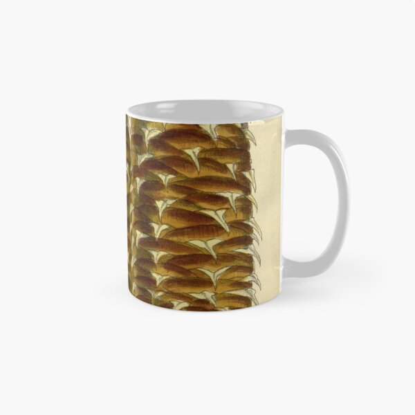 Item preview, Abies cephalonica 142 8691 designed and sold by EsotericBotanic.