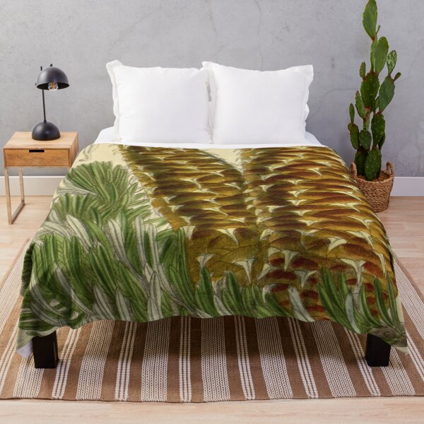 Item preview, Abies cephalonica 142 8691 designed and sold by EsotericBotanic.