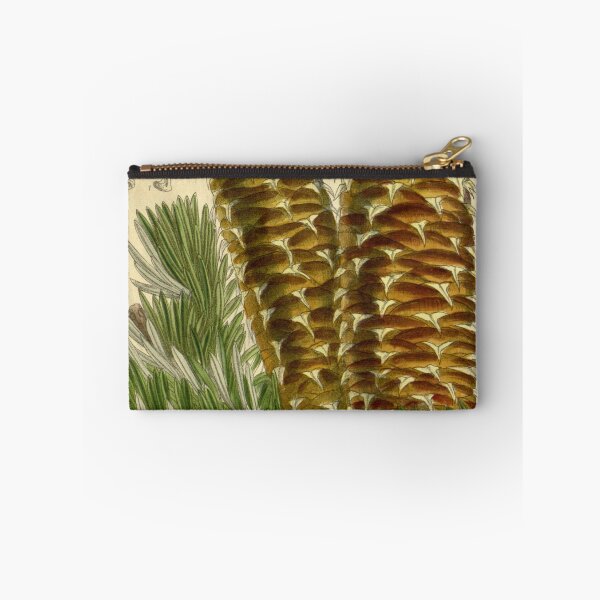 Item preview, Abies cephalonica 142 8691 designed and sold by EsotericBotanic.
