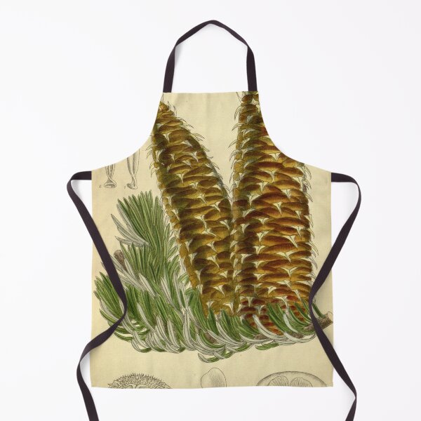 Item preview, Abies cephalonica 142 8691 designed and sold by EsotericBotanic.