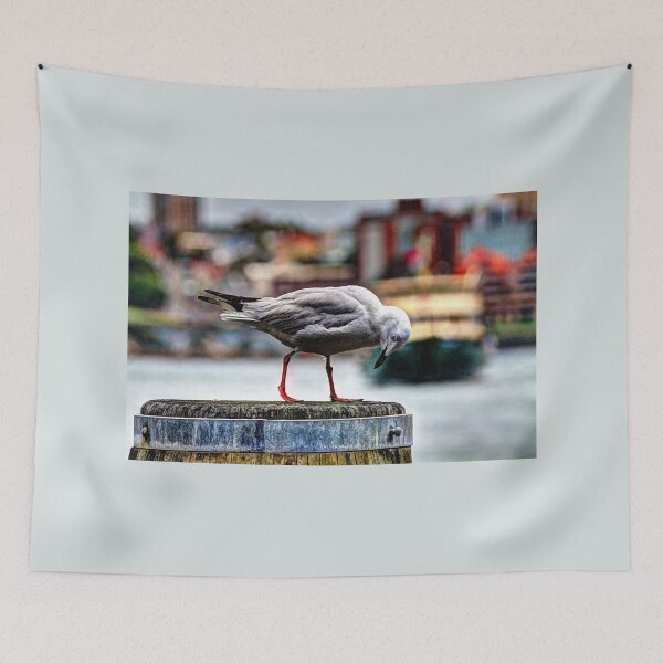 Item preview, Seagull Steppin Out designed and sold by Blackadder Photography.
