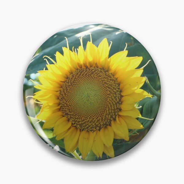 Item preview, Snook designed and sold by Olivia Plasencia.