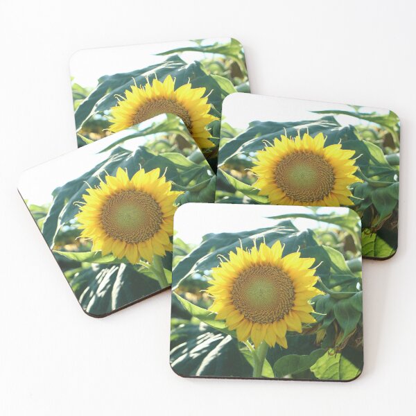 Item preview, Snook designed and sold by Olivia Plasencia.