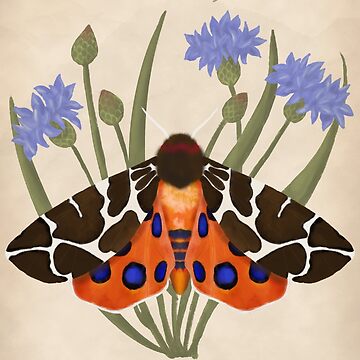 Artwork thumbnail, Garden Tiger Moth and Cornflowers by MeganSteer