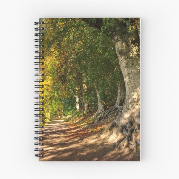 Item preview, Newmillerdam designed and sold by Alisonchambers2.