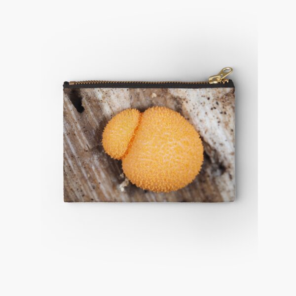 Item preview, Slime mold Lycogala epidendrum or similar Lycogala sp. designed and sold by SDym Photography.