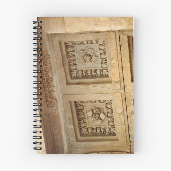 Item preview, Rosettes and Garlands, Celsus Library Ceiling designed and sold by taiche.