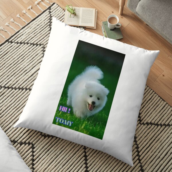 Tomy Floor Pillow