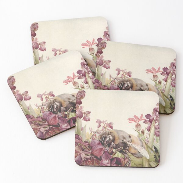 Item preview, Edward J Detmold - Orchis latifolia from News of spring 1917 designed and sold by Gardenlibrary.