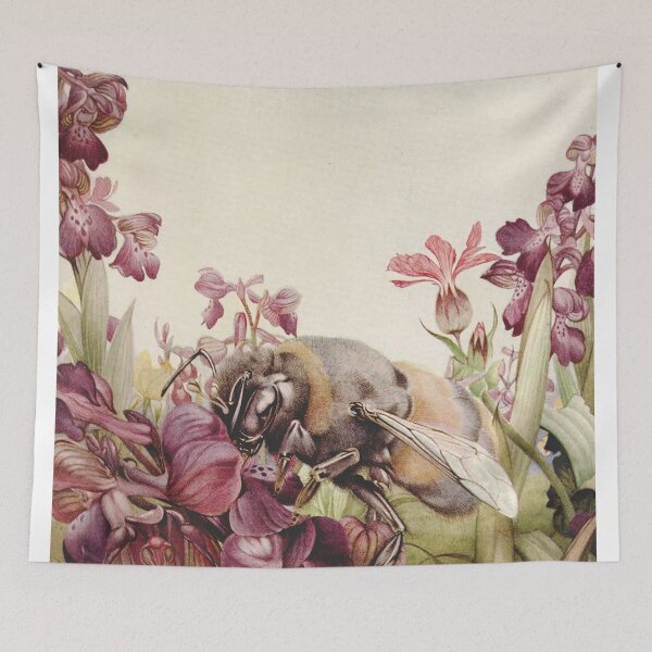 Item preview, Edward J Detmold - Orchis latifolia from News of spring 1917 designed and sold by Gardenlibrary.
