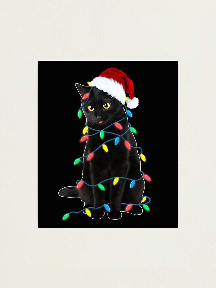  Carte cadeau  - Imprimer - Chien et chat à Noël: Gift  Cards