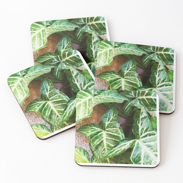 Item preview, Green plant leaves. designed and sold by Theleochick.