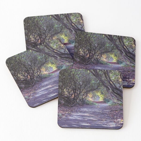 Item preview, Tree lined Rhododendron walkway designed and sold by Leighton Collins.
