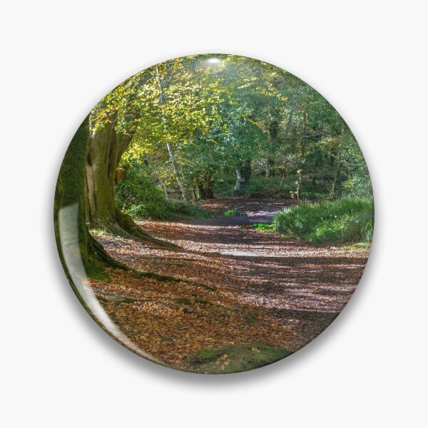 Item preview, autumn woodland scene golitha falls  Cornwall  designed and sold by eddiej.