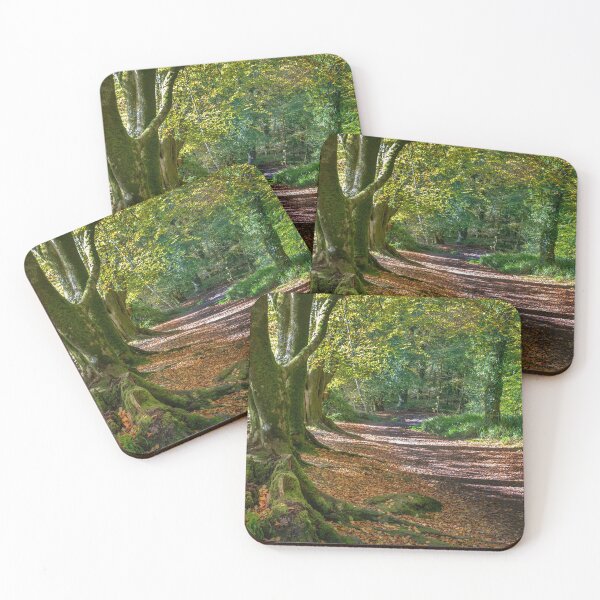 Item preview, autumn woodland scene golitha falls  Cornwall  designed and sold by eddiej.