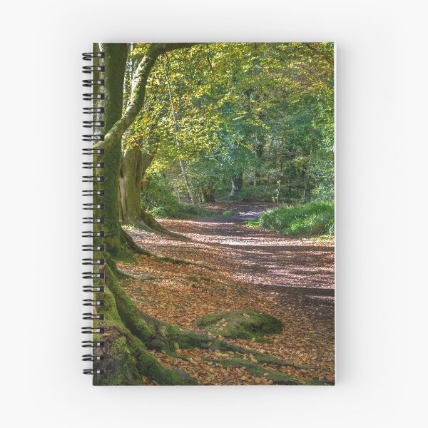 Item preview, autumn woodland scene golitha falls  Cornwall  designed and sold by eddiej.