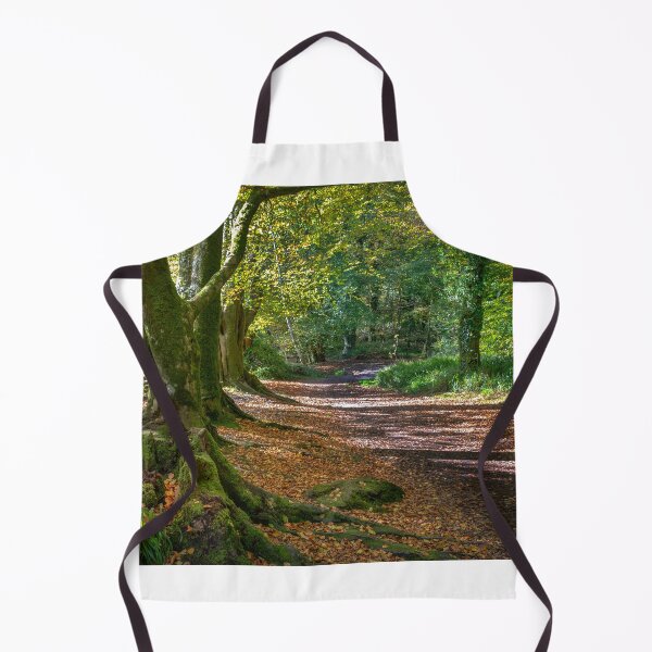 Item preview, autumn woodland scene golitha falls  Cornwall  designed and sold by eddiej.
