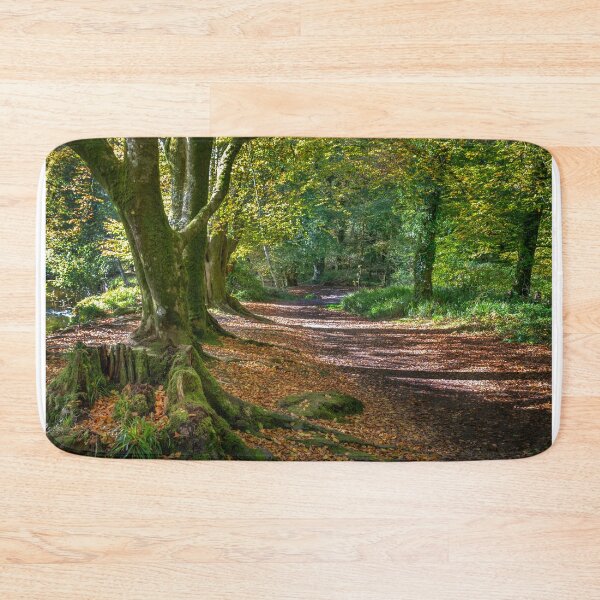 Item preview, autumn woodland scene golitha falls  Cornwall  designed and sold by eddiej.