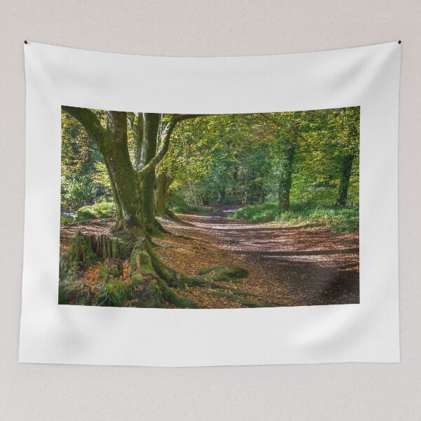 Item preview, autumn woodland scene golitha falls  Cornwall  designed and sold by eddiej.