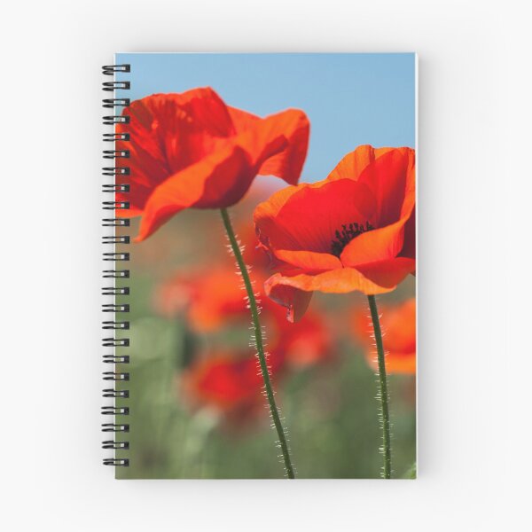 Item preview, summer flower armistice  designed and sold by bahaa8719.