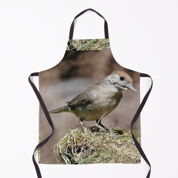 Item preview, 2 fauvette bird warbler Okaio 2015 fz 1000 on my page choose your photo https://www.facebook.com/Panasonic-fz-1000-with-400000-Photos-its-done-et-fz-200-by-Olao-Olavia-1440346182910150/ designed and sold by o.okaïo.