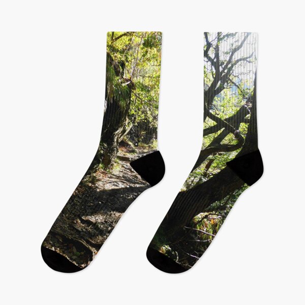 Item preview, Mountain path in the Harz Mountains designed and sold by Treemonk.