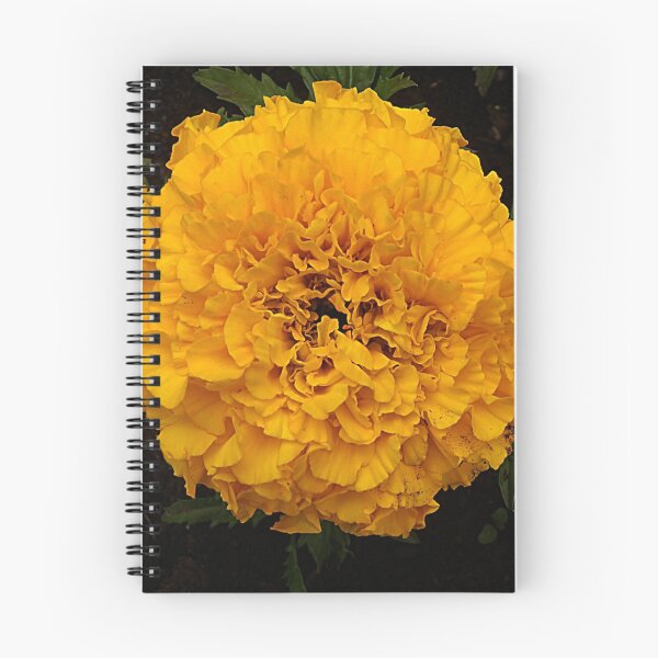 Item preview, Yellow Marigold designed and sold by Forfarlass.