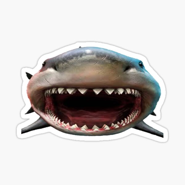Stickers autocollants Requin Marteau noir fond transparent