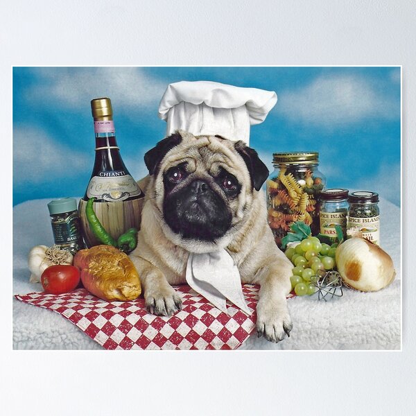 Pug cooking best sale