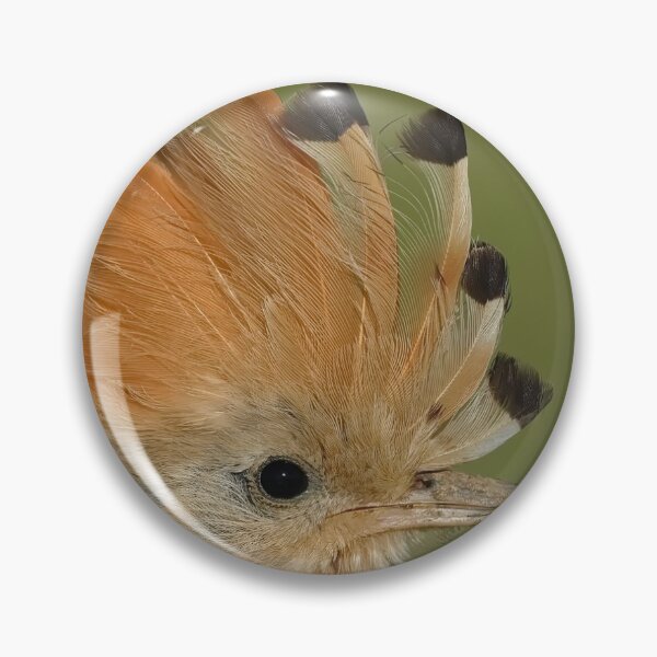 Item preview, Abubilla designed and sold by Dean   Eades.