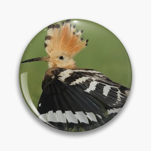 Item preview, Hoopoe  designed and sold by Dean   Eades.