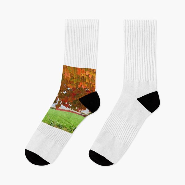 Item preview, Fall in Connecticut w red barns, red leaves designed and sold by Paintingladycat.
