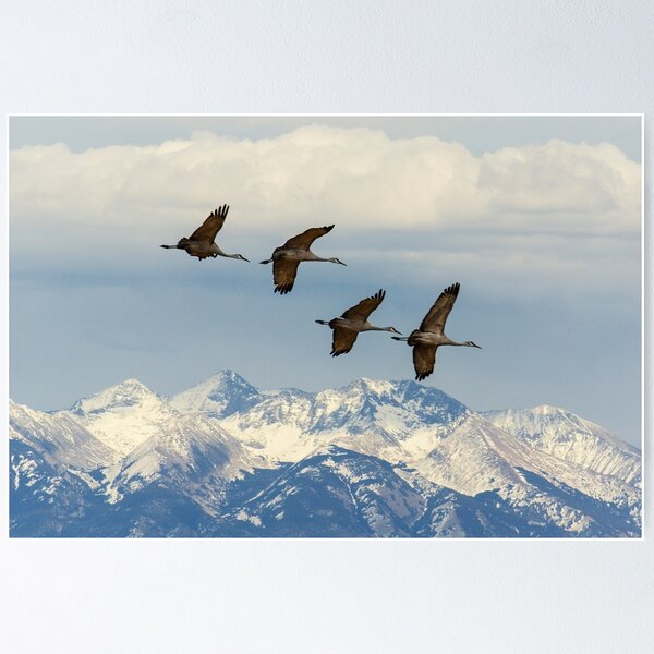 Item preview, Sandhills In Flight  designed and sold by Gary Benson.