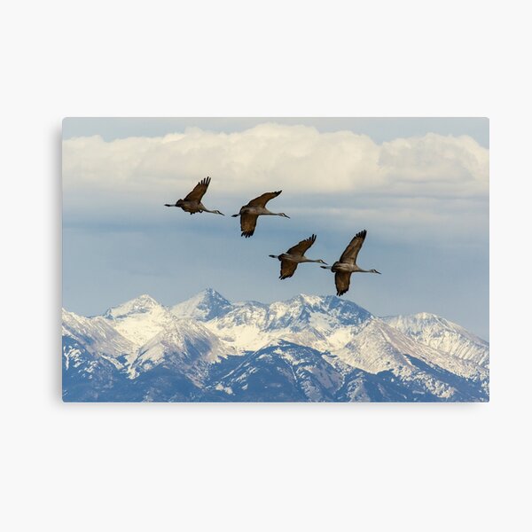 Item preview, Sandhills In Flight  designed and sold by Gary Benson.