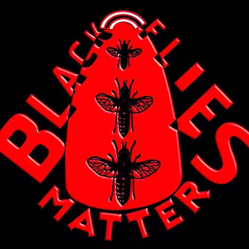 Artwork thumbnail, BLACK FLIES MATTER by Ralek
